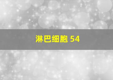 淋巴细胞 54